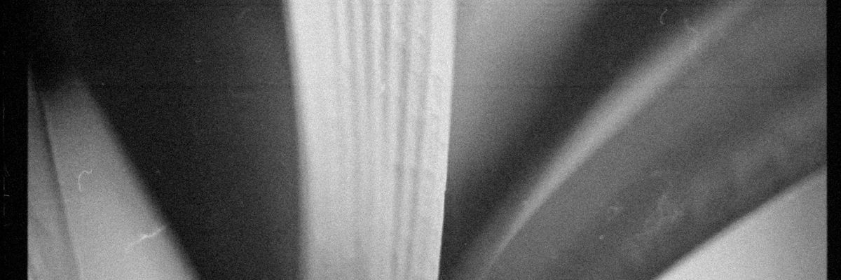 Minimalist artistic representation of balance and symmetry in nature